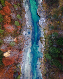 Birds Eye View Color Awards Winners and Nominees