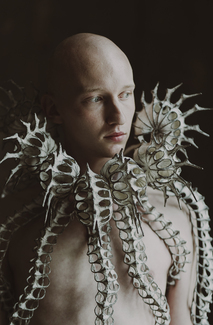 Octopus  Color Awards Winners and Nominees