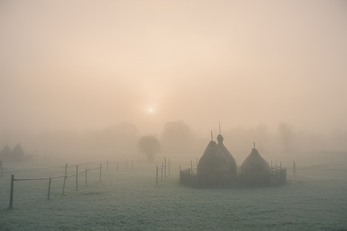 My Inner Country I My Inner Country I