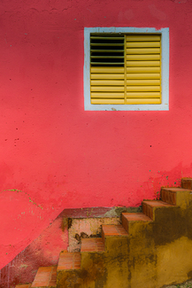 Yellow Vent Color Awards Winners and Nominees