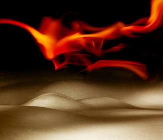 Fire & Ice Color Awards Winners and Nominees