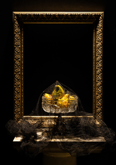Pear Color Awards Winners and Nominees