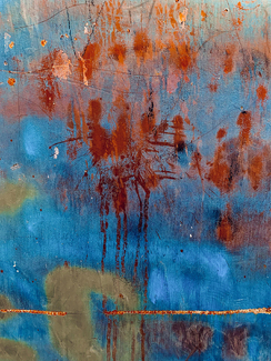 Number 5  Color Awards Winners and Nominees