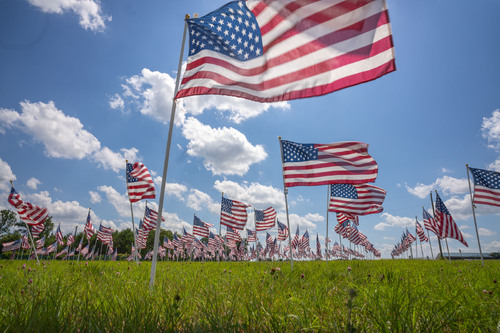 Field of flags Field of flags