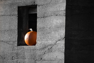 Just a Pumpkin Color Awards Winners and Nominees