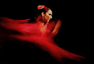 Flamenco Dancer Color Awards Winners and Nominees