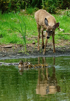 A Disney Moment Color Awards Winners and Nominees
