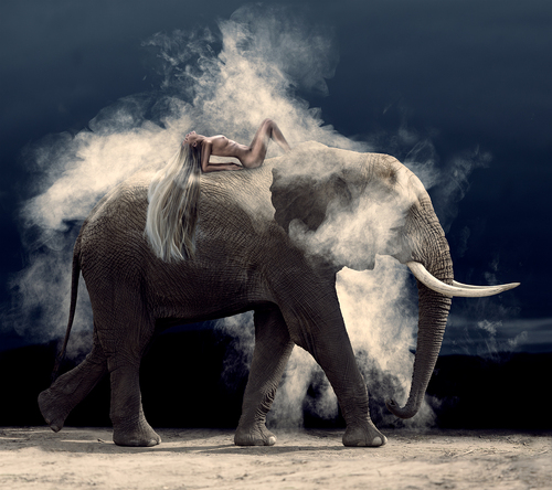 Nude Elephant Dust Nude Elephant Dust