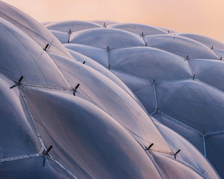 Biomes Color Awards Winners and Nominees