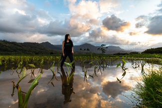 Guardian of the Garden: Kauai's Taro Farmer Color Awards Winners and Nominees
