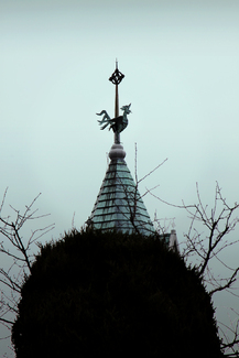 Nest of chicken Color Awards Winners and Nominees