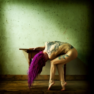 Miele a Tavola Color Awards Winners and Nominees