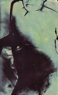 Naked brother Color Awards Winners and Nominees