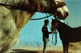 Untitled Color Awards Winners and Nominees