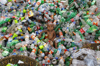 Recycle Bin Color Awards Winners and Nominees