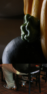 HARVEST ROUND UP Color Awards Winners and Nominees