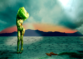 Dry Time Color Awards Winners and Nominees