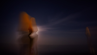 Picture from my imagination Color Awards Winners and Nominees