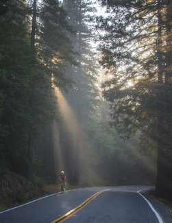 Riding on Sunshine Color Awards Winners and Nominees
