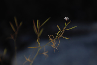 Beyond the Fire Color Awards Winners and Nominees