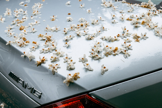 After the Rain Color Awards Winners and Nominees