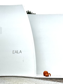 Halloween Color Awards Winners and Nominees