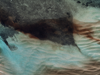 A Kind of Blue No.155 Color Awards Winners and Nominees