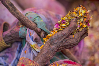 Flower Holi Color Awards Winners and Nominees