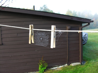 Out to Dry Color Awards Winners and Nominees