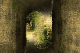 Labyrinth of dreams Color Awards Winners and Nominees