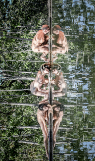 I will be your mirror  Color Awards Winners and Nominees