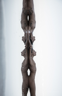 Double Dream  Color Awards Winners and Nominees