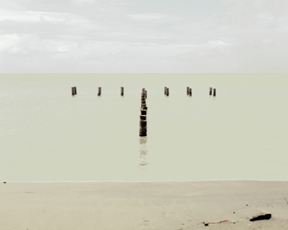 Hey you Color Awards Winners and Nominees