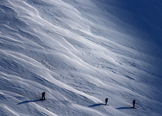 Winter Footprints Color Awards Winners and Nominees