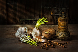 Green Over Brown Color Awards Winners and Nominees