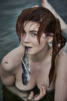 Selki Treat Color Awards Winners and Nominees