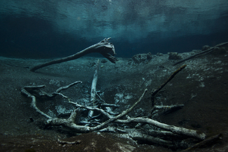 Crystal Spring Remains Color Awards Winners and Nominees