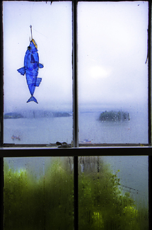 A Fish Called Wanda Color Awards Winners and Nominees