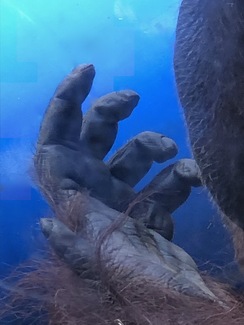 Hand of Time Color Awards Winners and Nominees