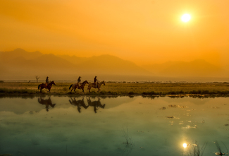 The Searchers Color Awards Winners and Nominees