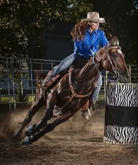 Giddy Up Color Awards Winners and Nominees