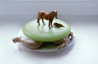 Horse and Chicken Color Awards Winners and Nominees