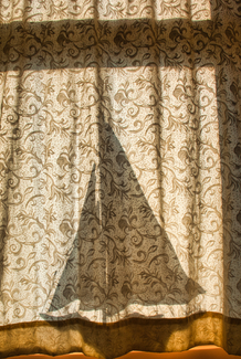 Behind the Curtain Color Awards Winners and Nominees