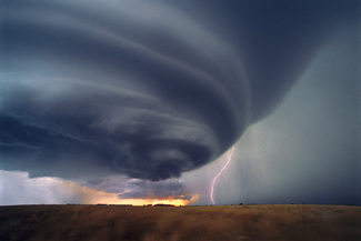 A Bolt from the Gray Color Awards Winners and Nominees