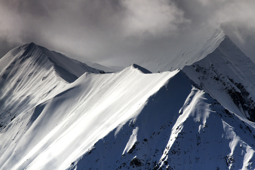 Wild Alaska Wild Alaska