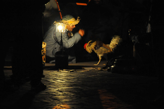 Untitled Color Awards Winners and Nominees