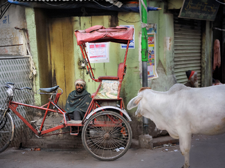 Kolkata, India Color Awards Winners and Nominees