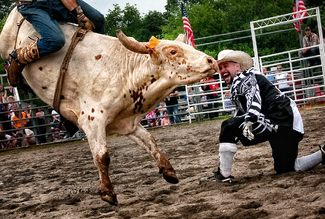 Rodeo Handler Color Awards Winners and Nominees