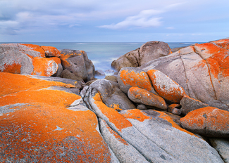 Bay of Fires Color Awards Winners and Nominees
