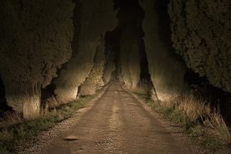 Gubbio, Italy Color Awards Winners and Nominees